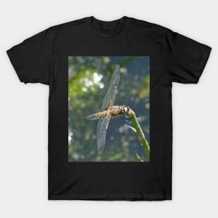 Dragonfly resting 3 T-Shirt